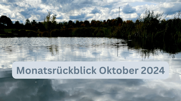 Monatsrückblick Oktober 2024